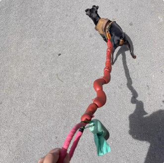 Dog Hand Holding Rope A Bunch Of Big Sausage