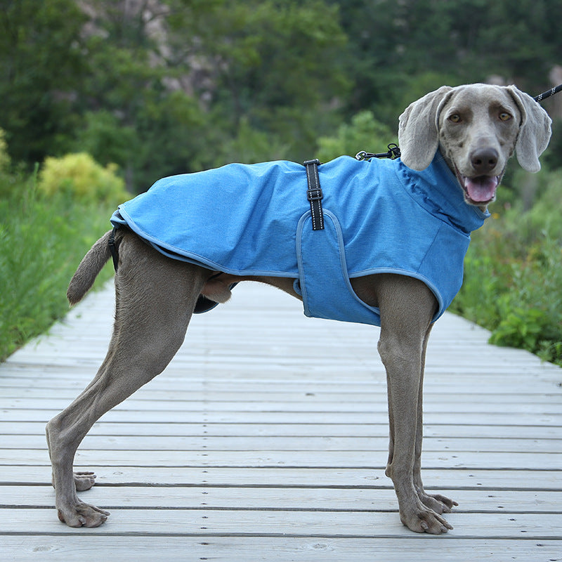 Winter Dog Ski Shell Jacket