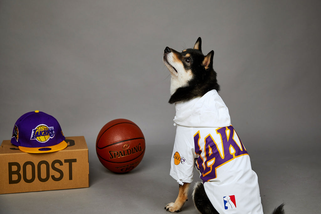 Polyester Dog Shell Jacket