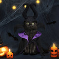 Halloween Dog Cloak and Hat