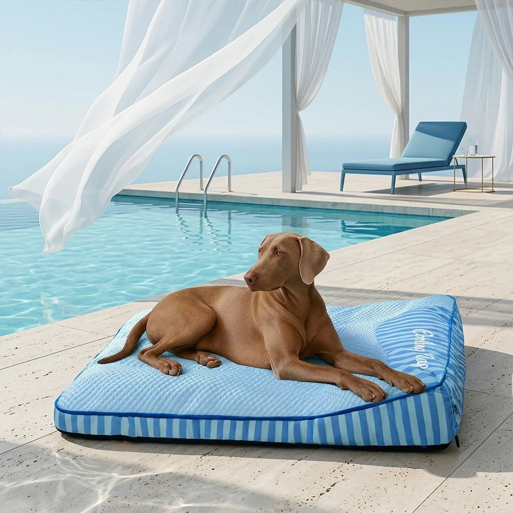 New Arrival Ice Bean Dog Bed Summer Cooling Pet Mat