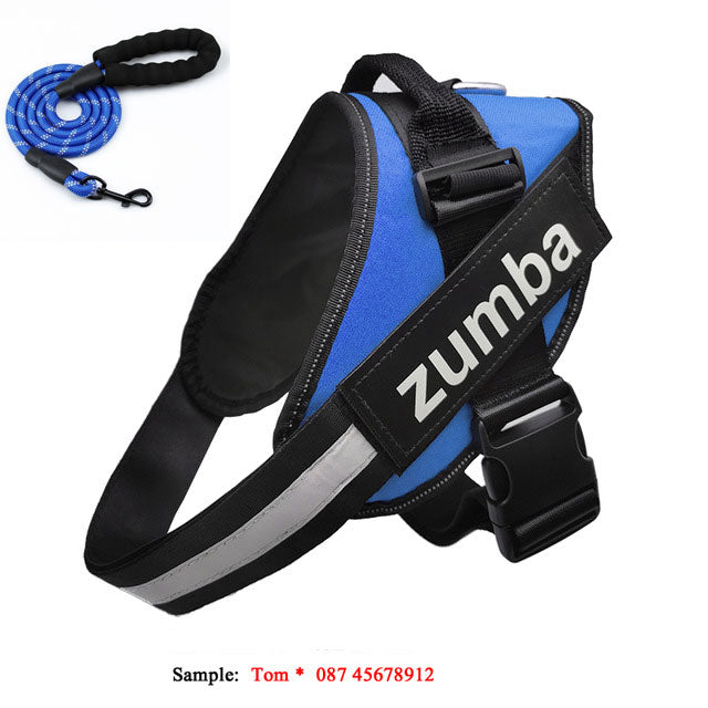 Personalized Reflective Adjustable Dog Harness And Leash Set
