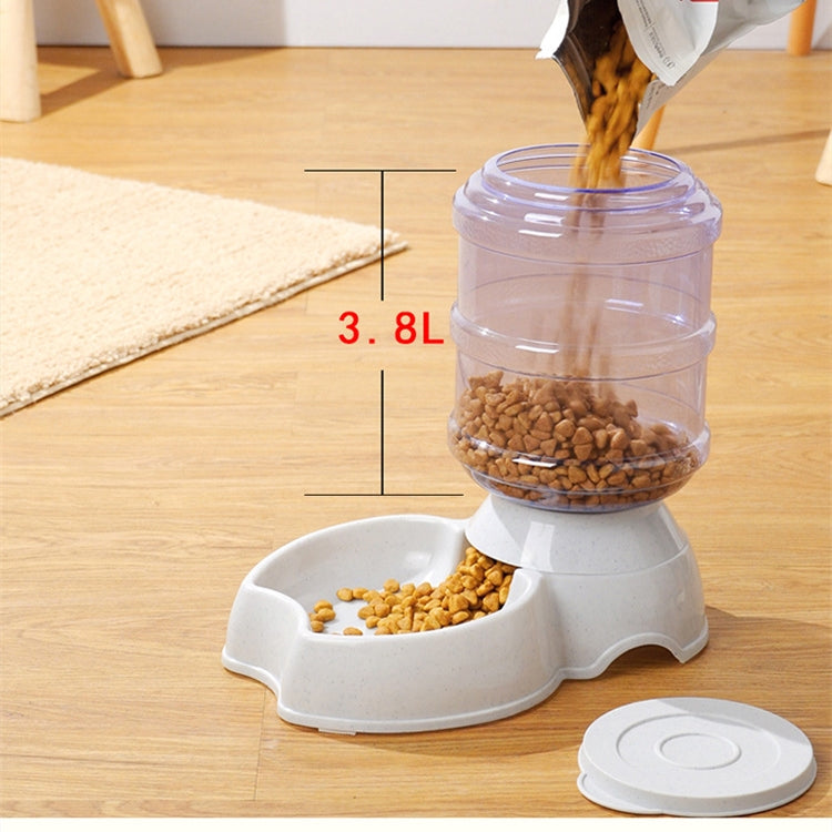 Automatic Dog and Cat Feeder