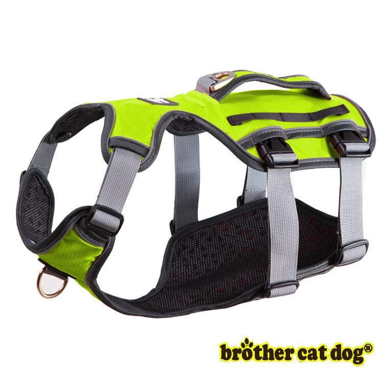 Dog Thoracolumbar Band