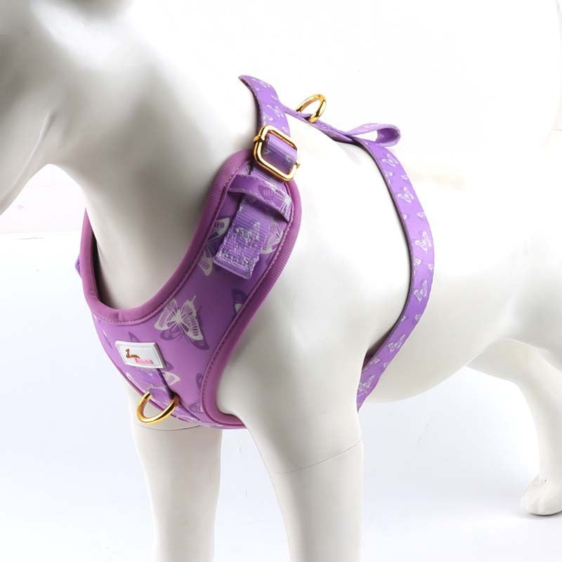 Extra-Large Butterfly Dog Collar Leash Set