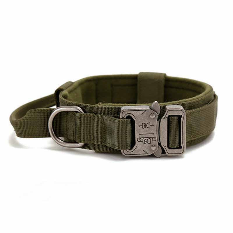 Simple Solid Color Outdoor Traction Pet Collar
