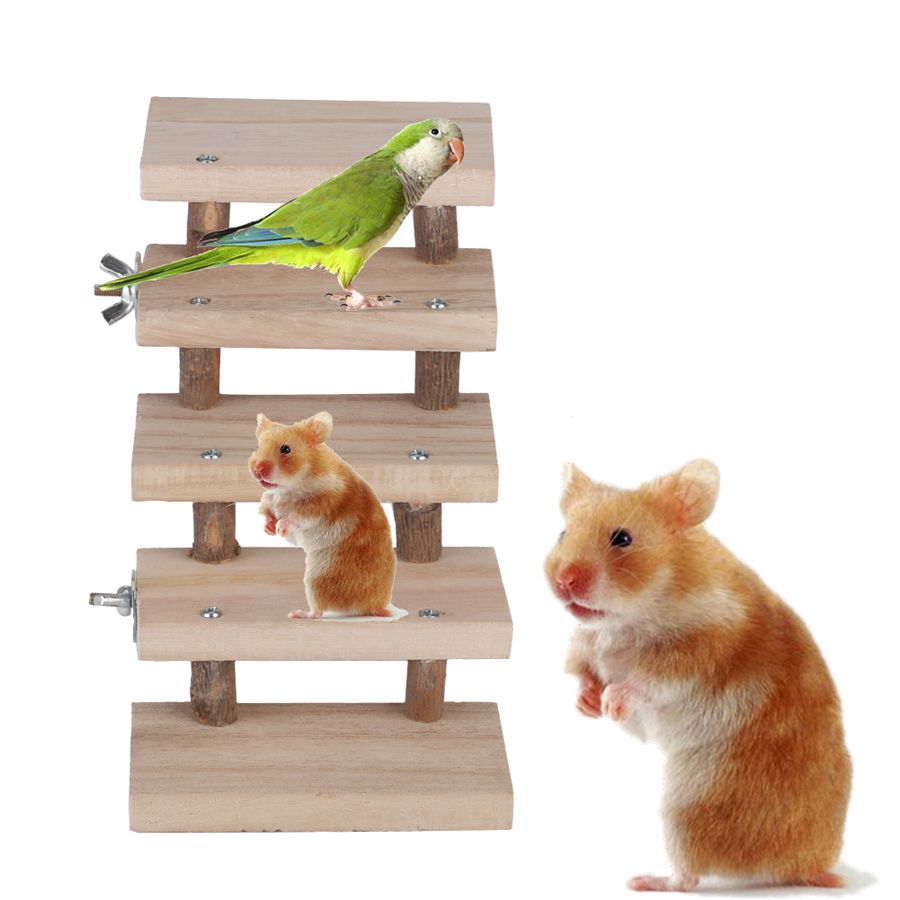 Log Stairs Dog Toy