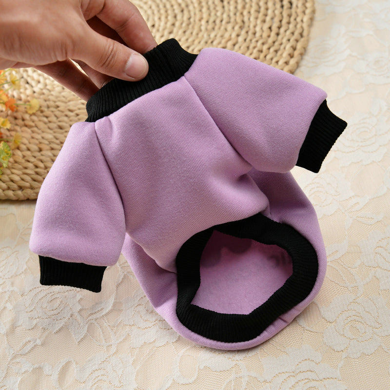 Halloween Pumpkin Skull Small Dog Sweater