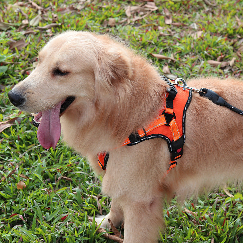 Adjustable Comfortable Dog Harness for Walking