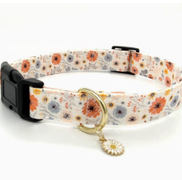 Adjustable Dog Collar For Traction