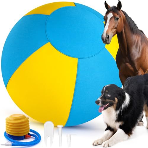 Inflatable Pet Chew Training Ball