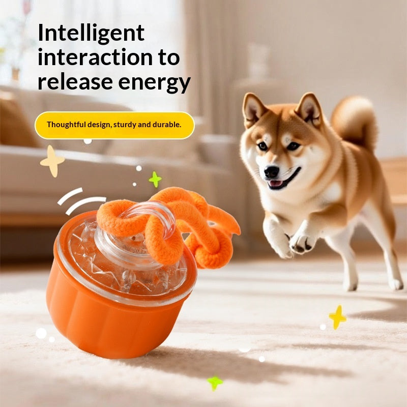 Indoor Automatic Dog Ball Puzzle Toy