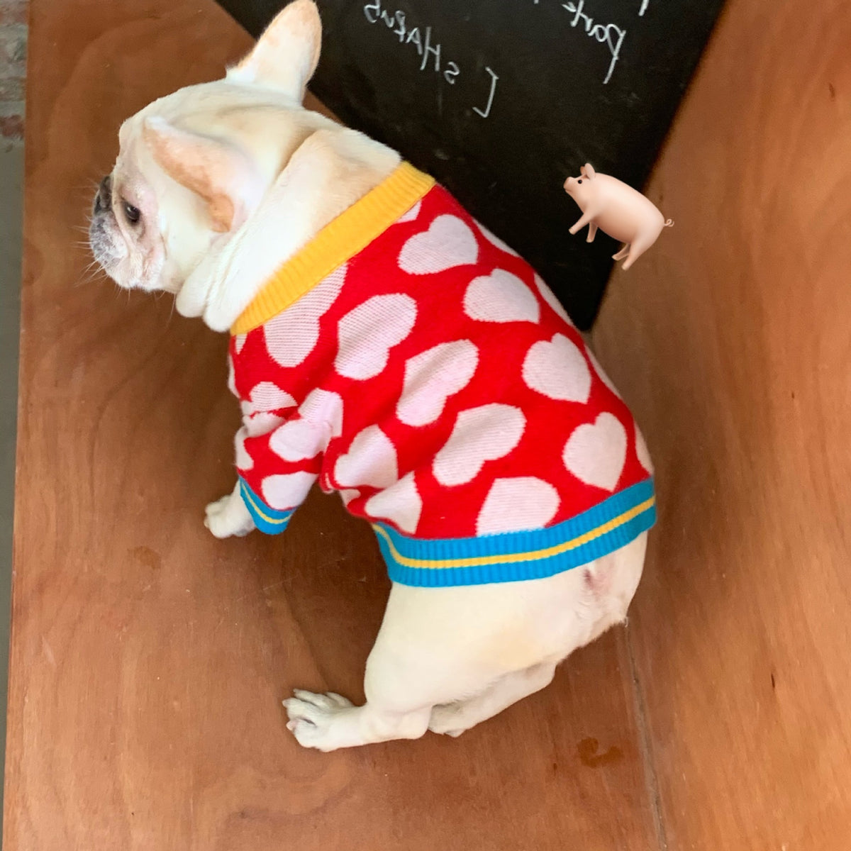 Warm Autumn Winter Pet Dog Clothes