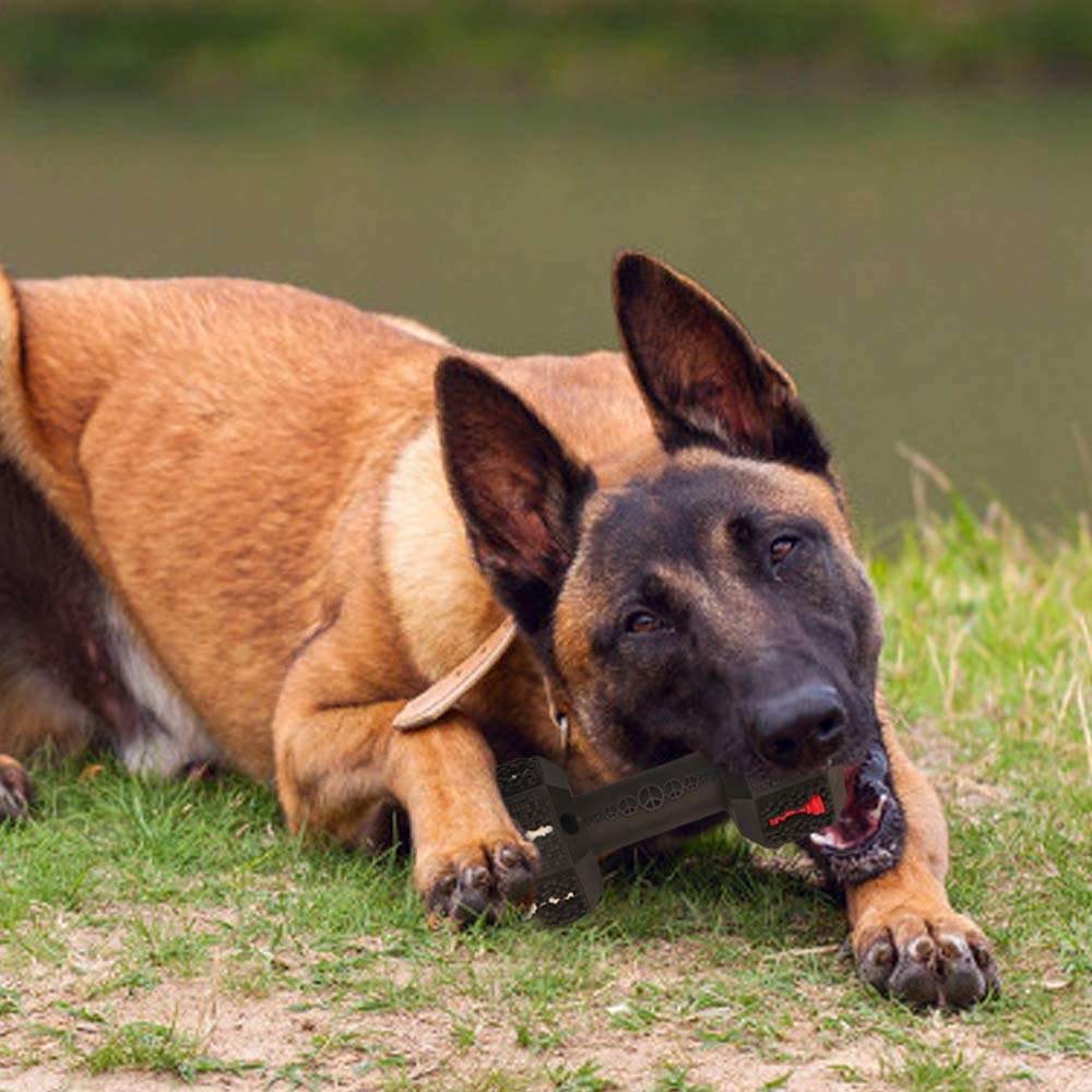 Durable Dog Chew Toy For Aggressive Chewers