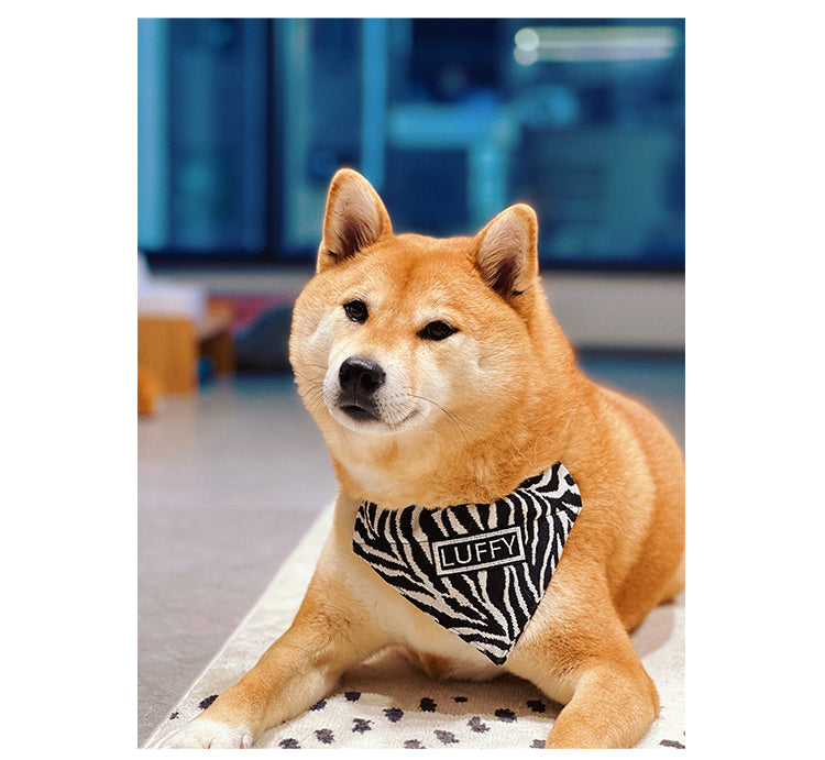 Shiba Inu Triangle Bib Scarf