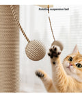 Scratch-Resistant Chip Hanging Ball Kitty Toy