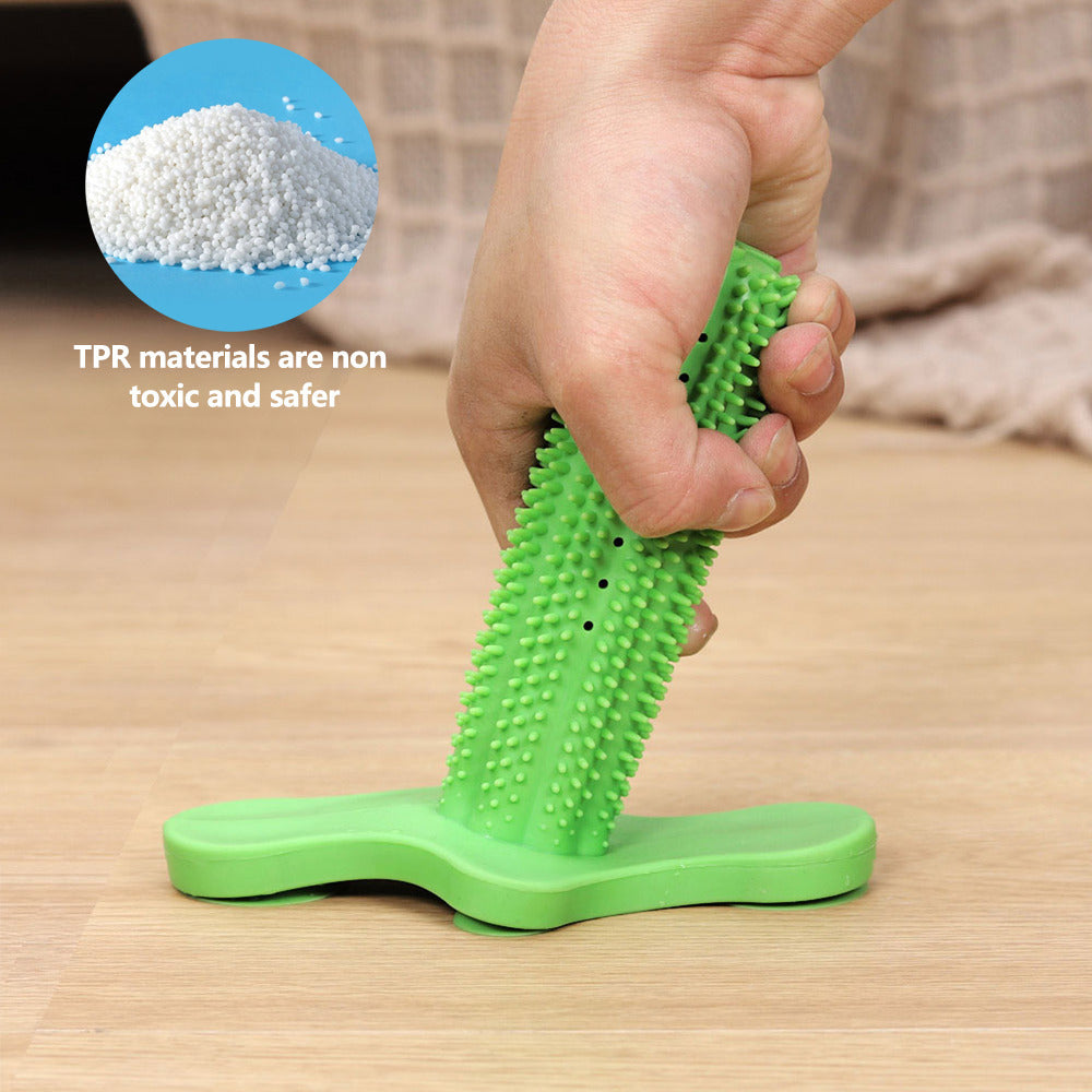 Suction Cup Dog Chew Toothbrush Toy