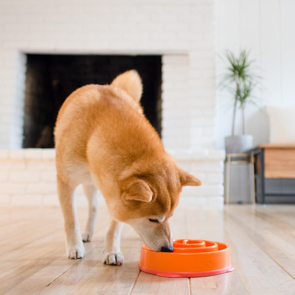 Silicone Puzzle Slow-Feeding Dog Bowl