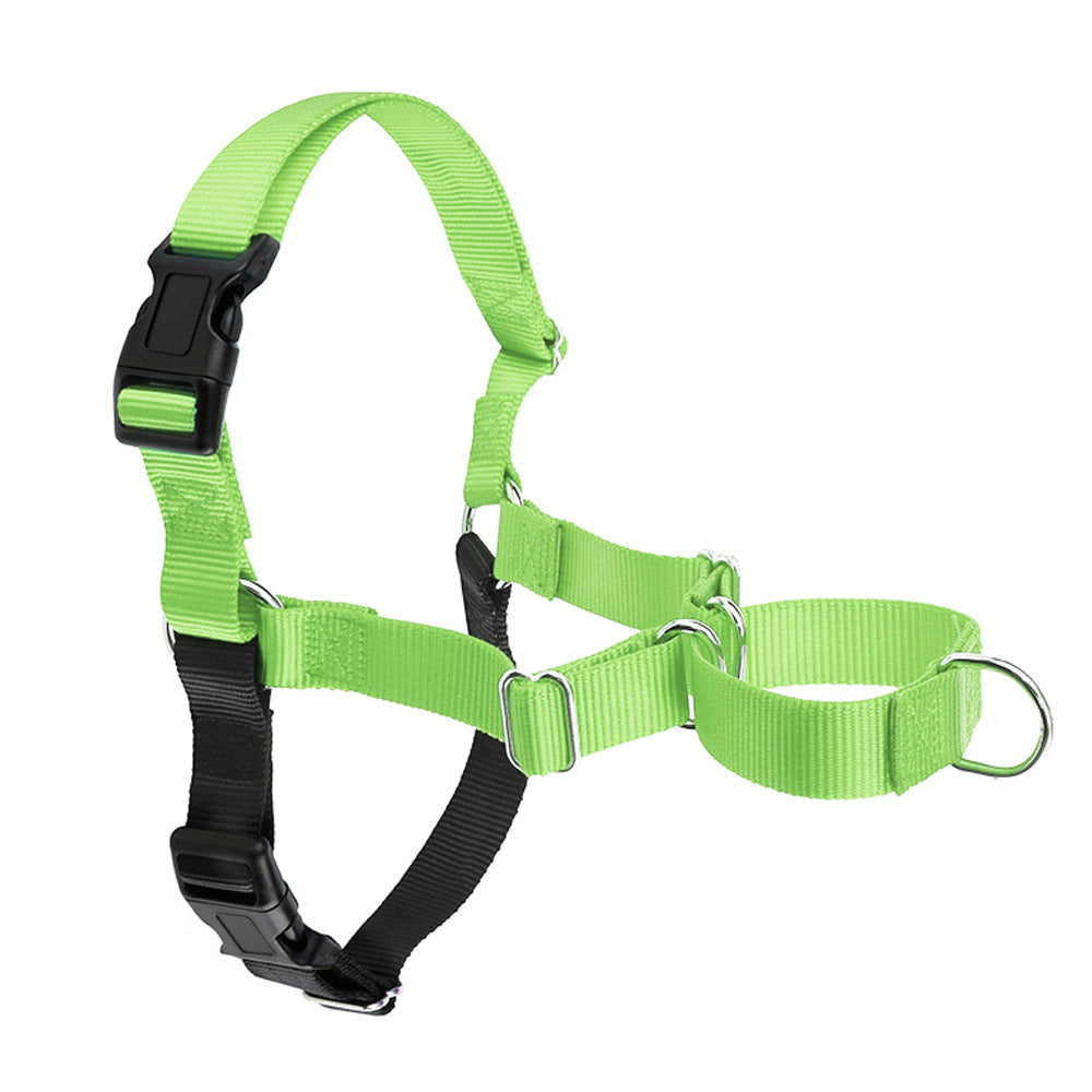 Dog Walking Collar