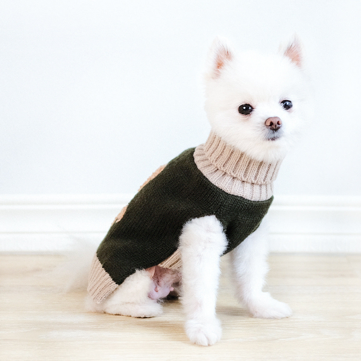 Army Green Bear Dog Sweater