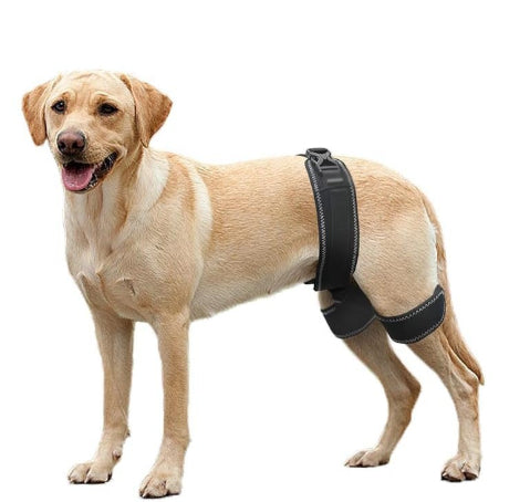 Dog Hip Support Belt