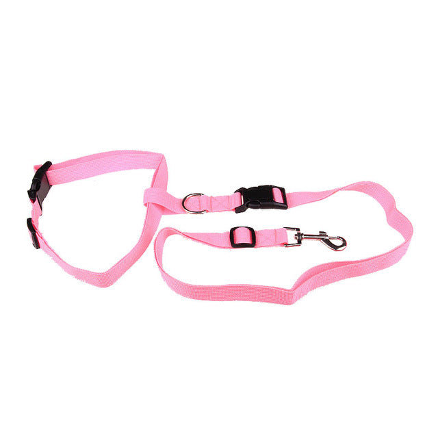 Special Traction Rope For Dog Morning Running