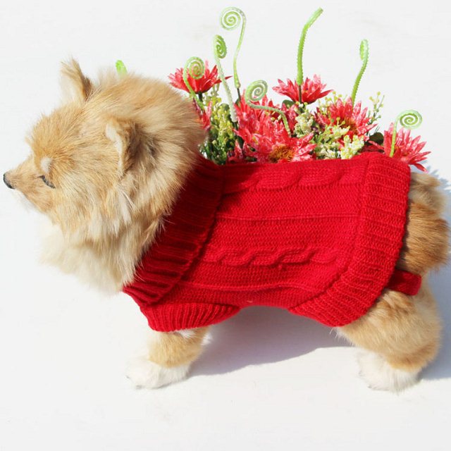 Knitted Dog Sweater With Buttons