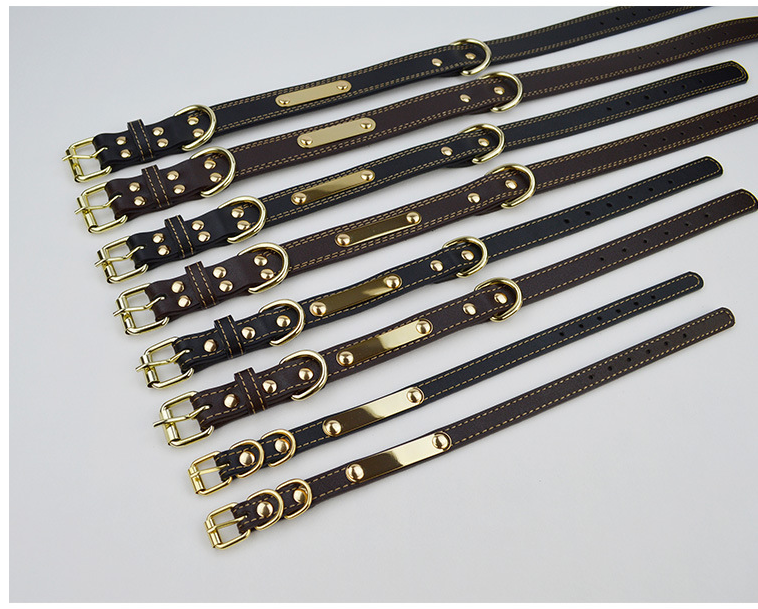 Lettering Dog Collar