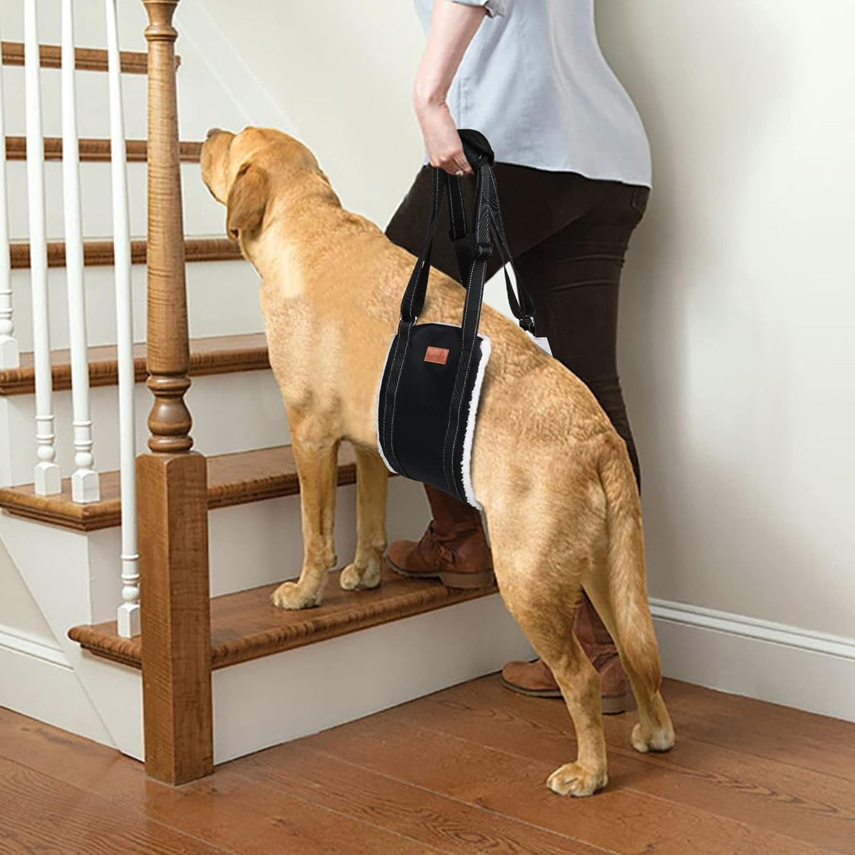 Portable Dog Sling For Hind Legs And Buttocks To Help Lift The Back For Canine Assisted Old Cruciate Ligament Rehabilitation