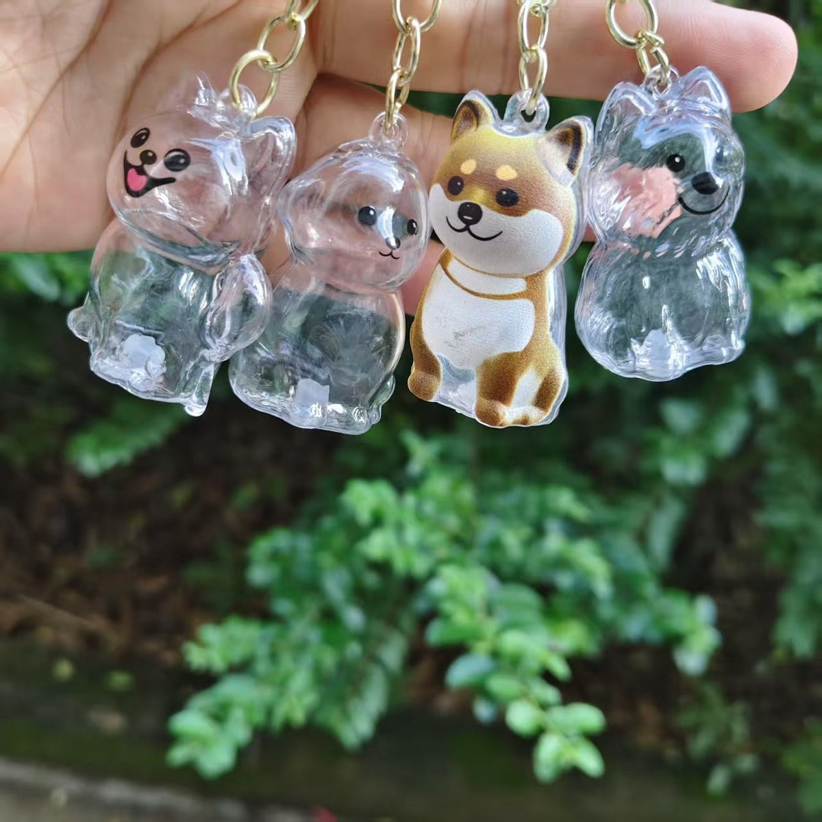 Transparent Puppy Fur Storage Box