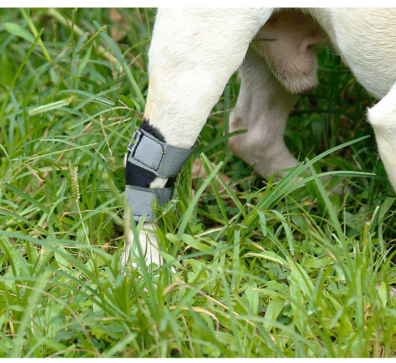 Fixed Recovery Dogleg Cover