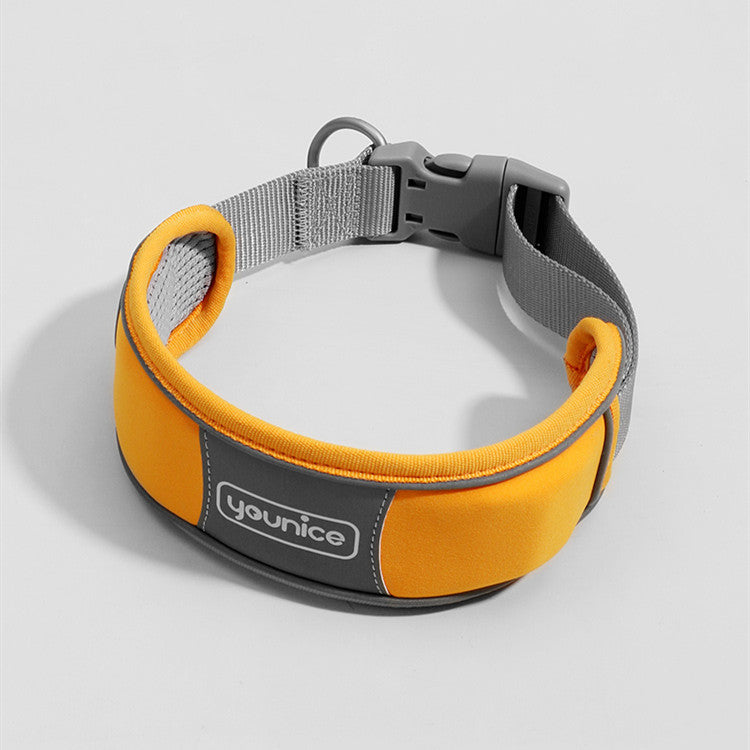 Cute Dog Collar Leash Explosion-Proof And Anti-Off