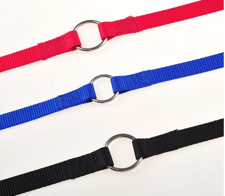 Two Dog Walking Leash Coupler