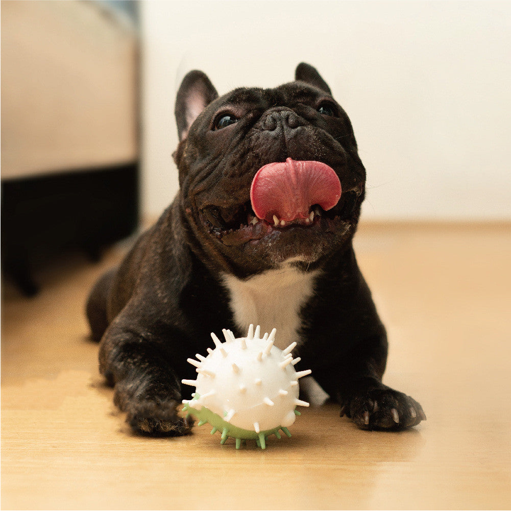 Dog Bite-Resistant Vocal Toy