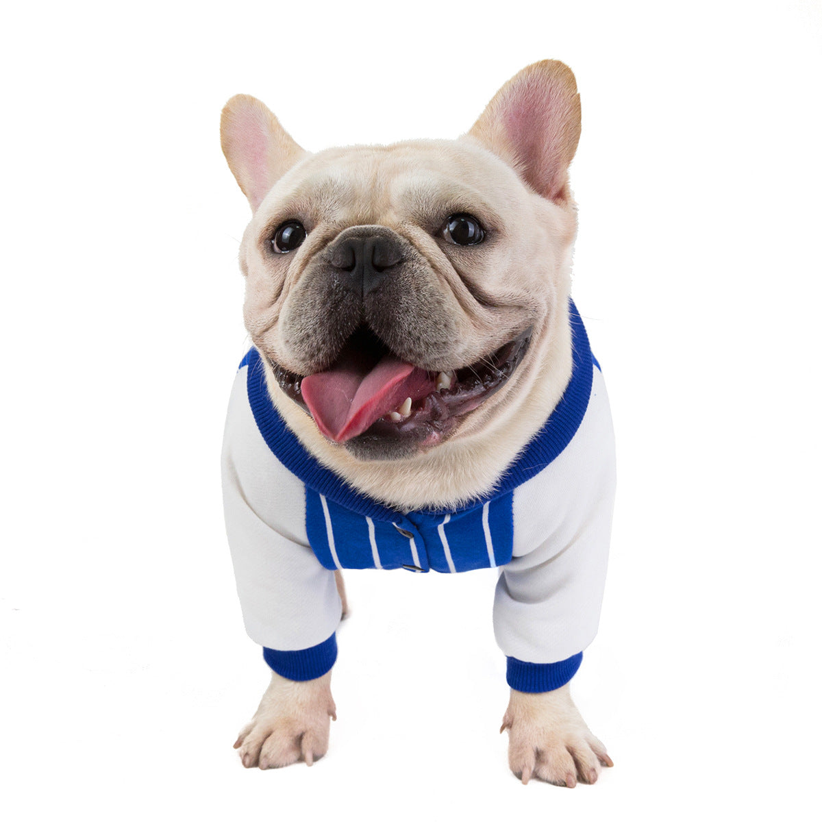 Bulldog Dog Clothes