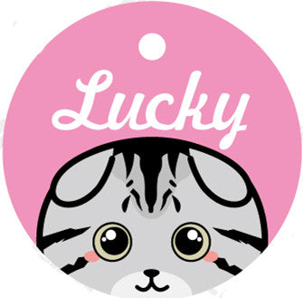 Custom Lettering Pet ID Tag