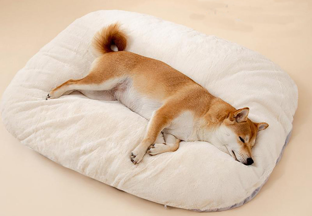 Oval Washable Dog Bed for Large Dogs