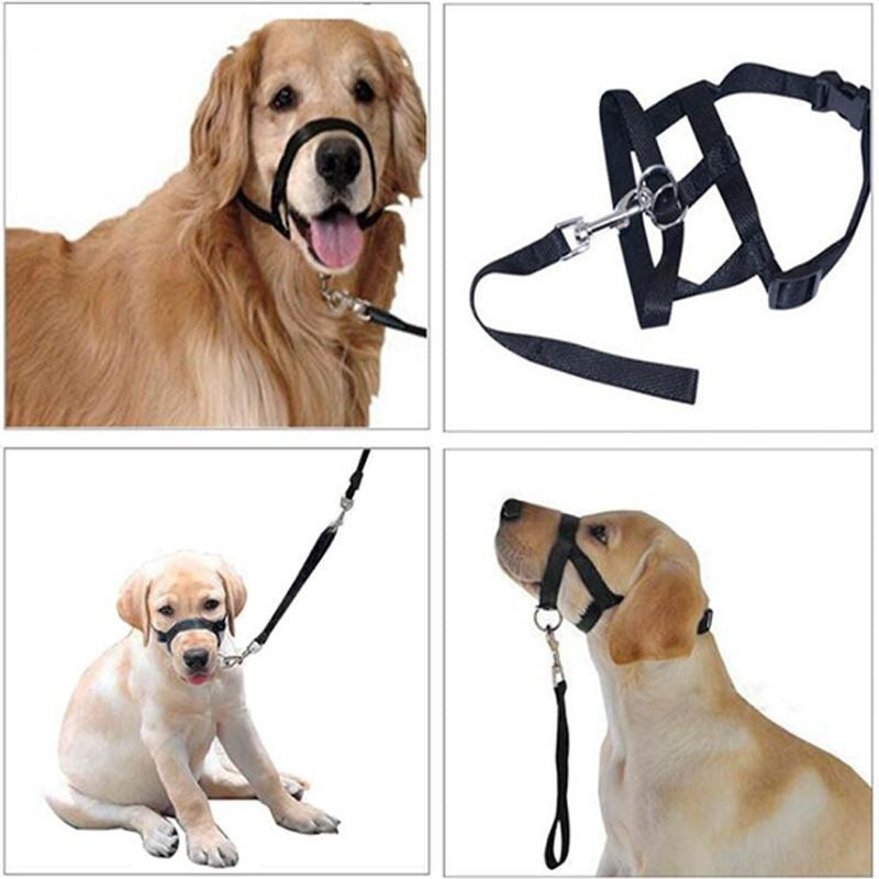 Short-Handled Nose-Ring Dog Walking Leash