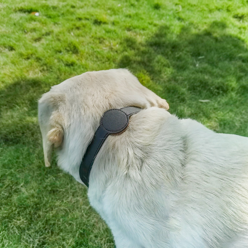 Pet Pu Microfiber Dog Positioning Collar