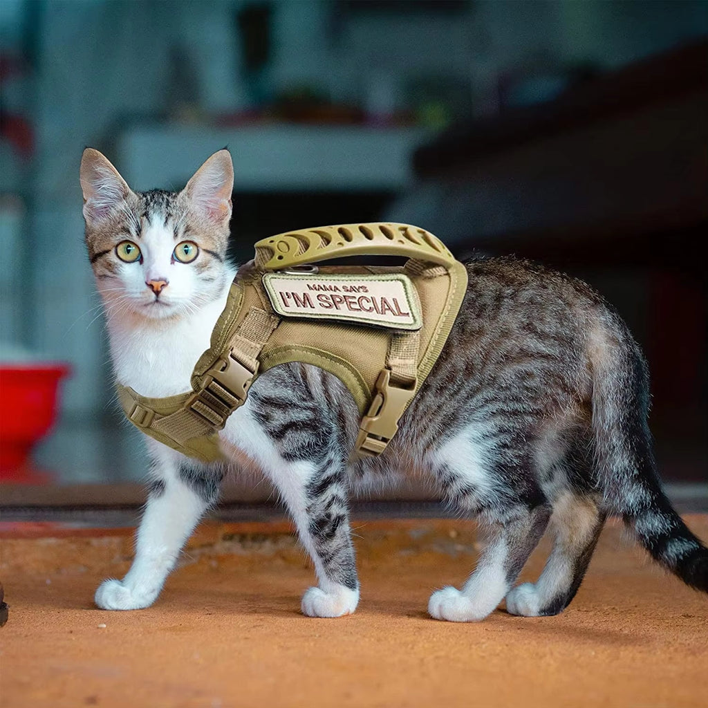 Hook-and-Loop Pet Harness Vest-Style