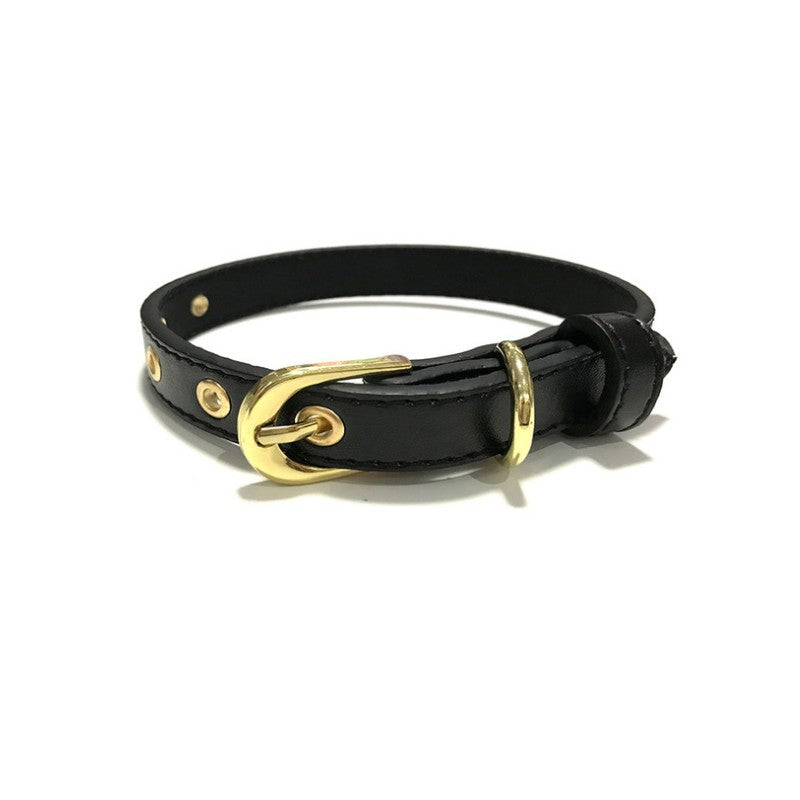 Plain Pet Collar Gold Buckle Pu