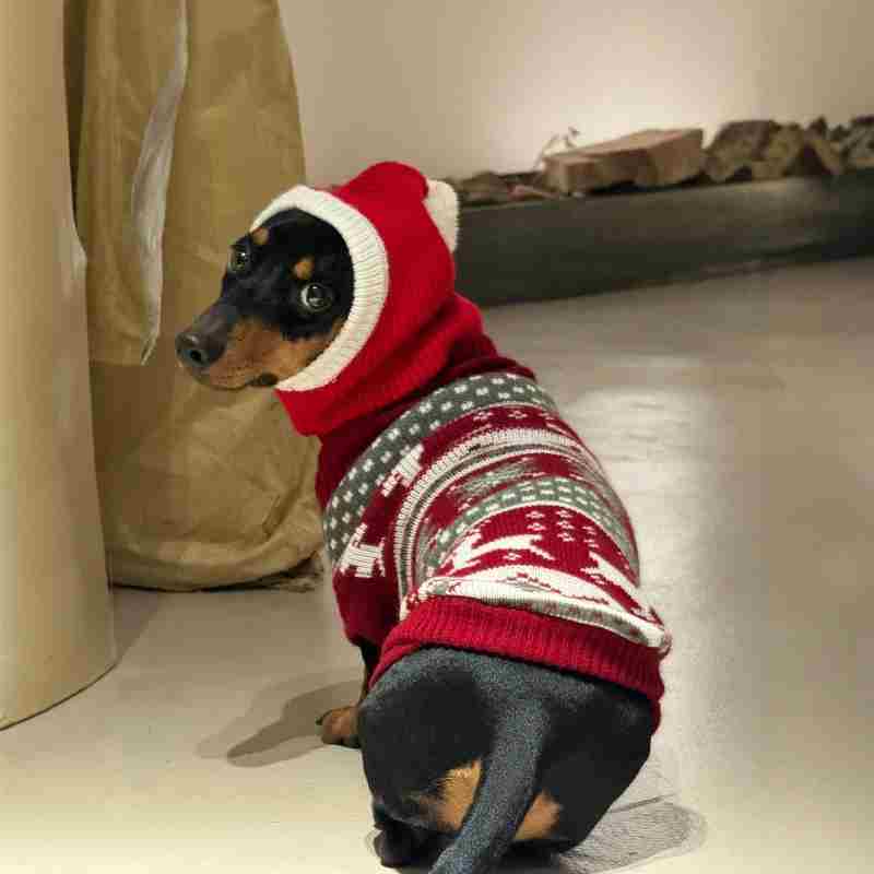 Warm Plush Christmas Pet Dress-Up Hat