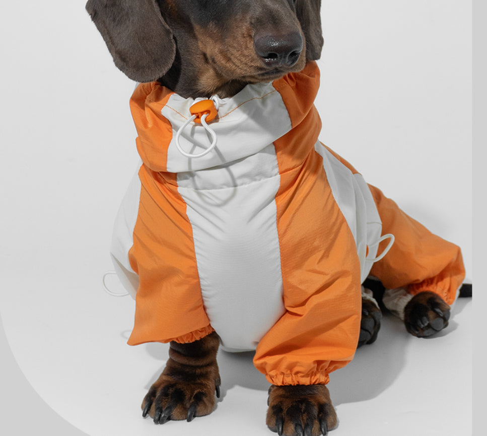 Winter Color Matching Pet Clothes