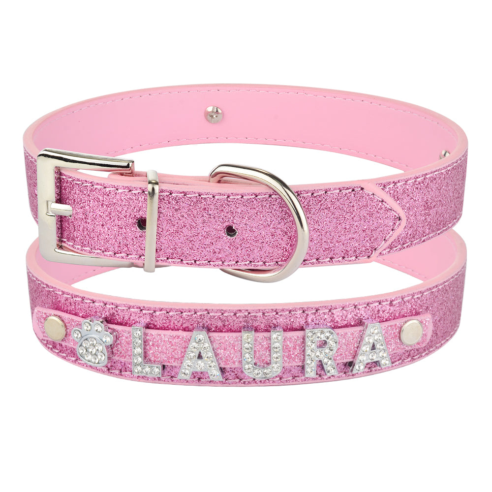 DIY Alphabet Dog Collar Accessory