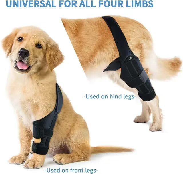 Dog Leg Injury Support Training Belt