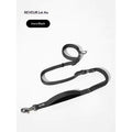 Ulaishi Dog Collar And Leash Set