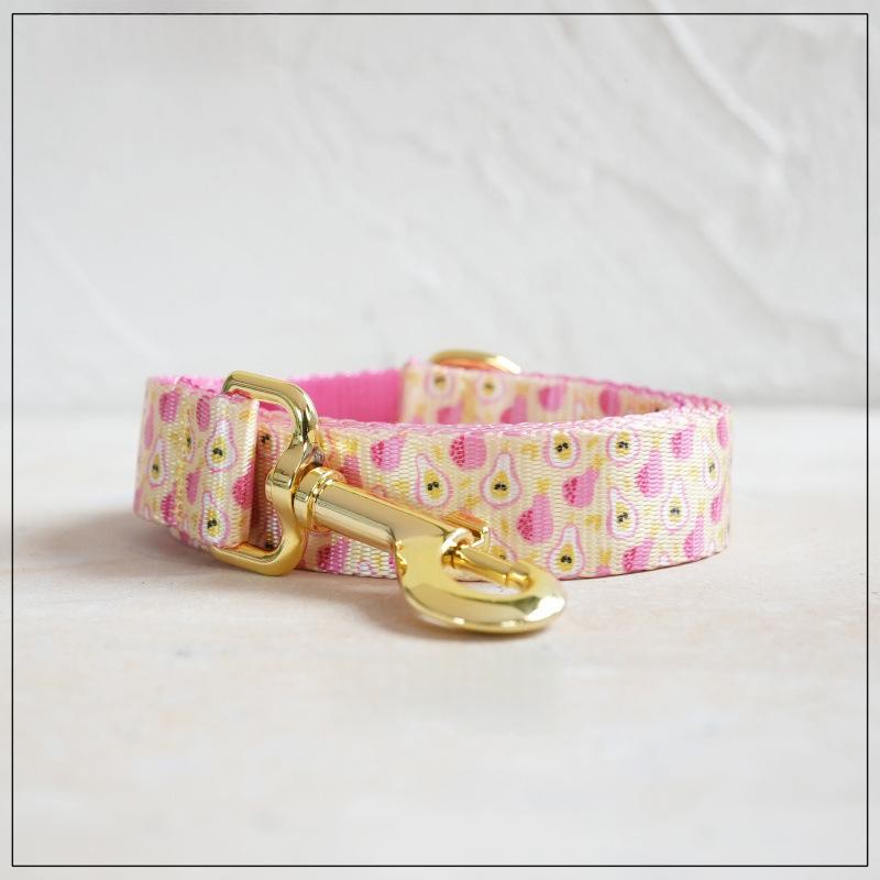 Nylon-Look Dog Collar With Pet Print