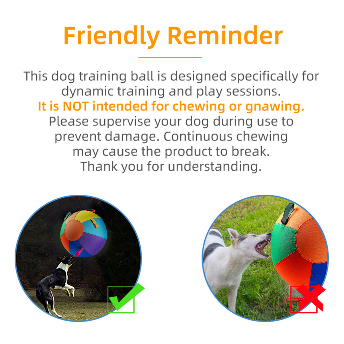 Colorful Inflatable Dog Toy Ball