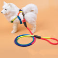 Colorful Nylon Dog Hand Rope