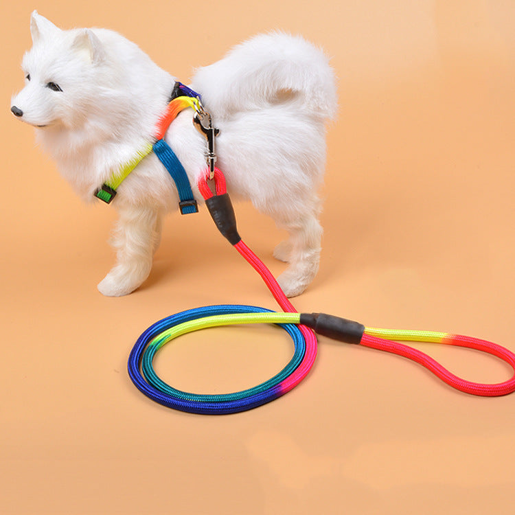 Colorful Nylon Dog Hand Rope